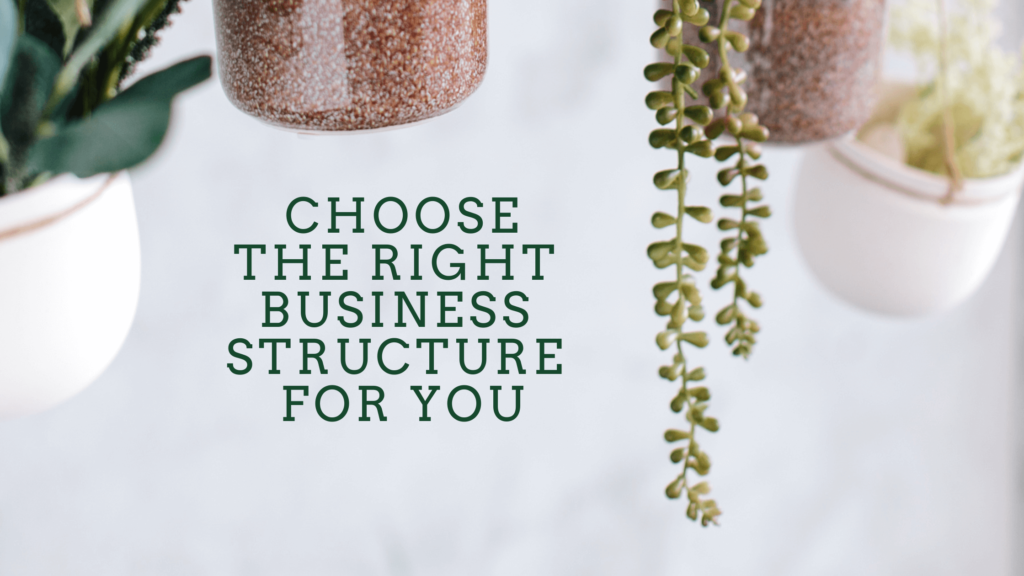 Choosing a business entity is dependent on several factors. Read on for comparisons of different business structures.