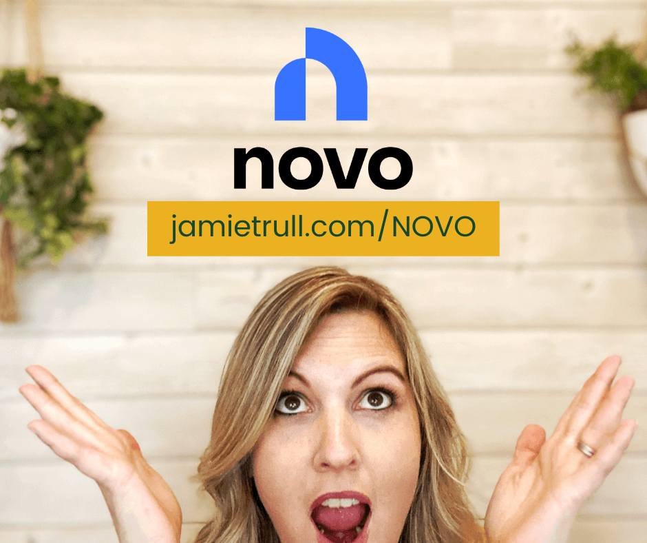 Use my link for NOVO, the best online bank for business owners!