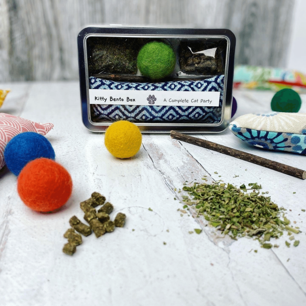 Don't forget the pets! This Kitty Bento Box is an adorable idea for the cat lovers on your list!