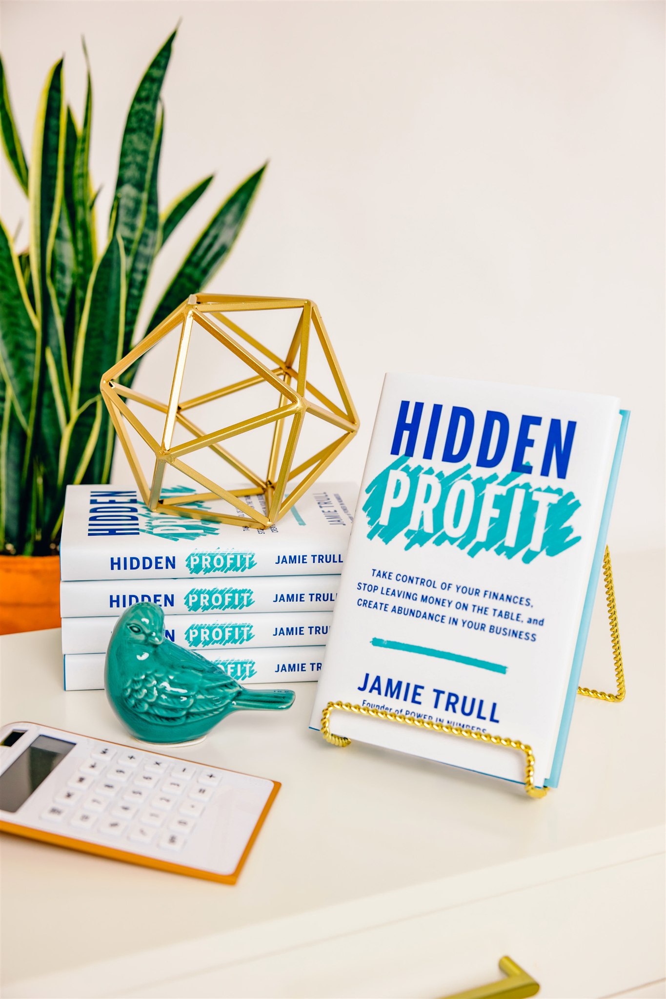 Hidden Profit book by Jamie Trull helping small business owners understand finances increase profit and keep more money