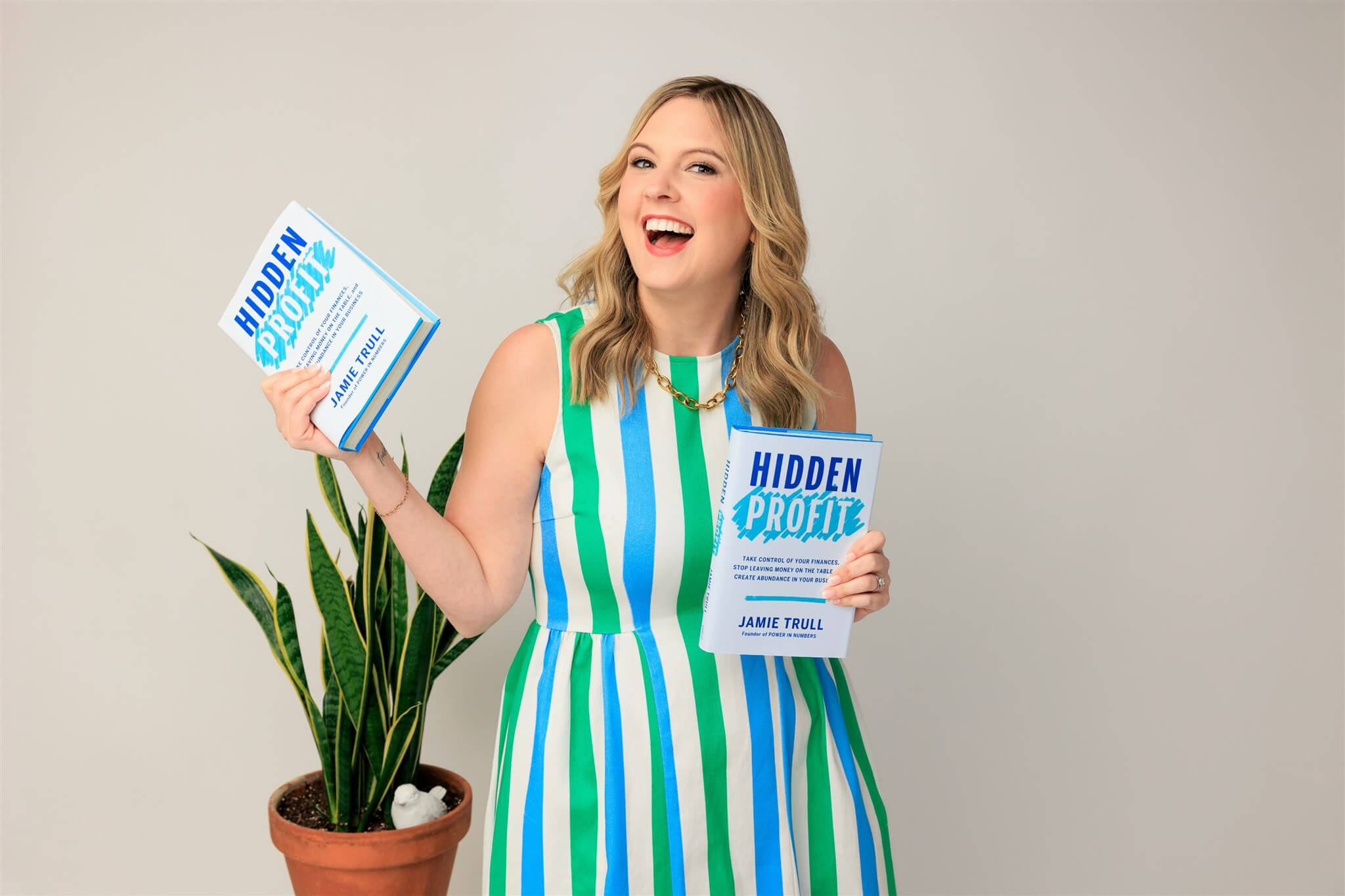 Hidden Profit book by Jamie Trull to help small business owners understand business finances basics and get organized