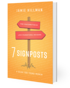 Holiday Gift 7 signposts by Jamie Hillman book cover
