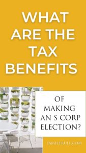 What are the tax benefits of making an S corp Election