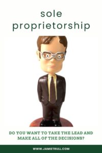 Sole proprietorship is one option when choosing from a business structure chart. If a business entity were a character from the office, it would be Dwight!