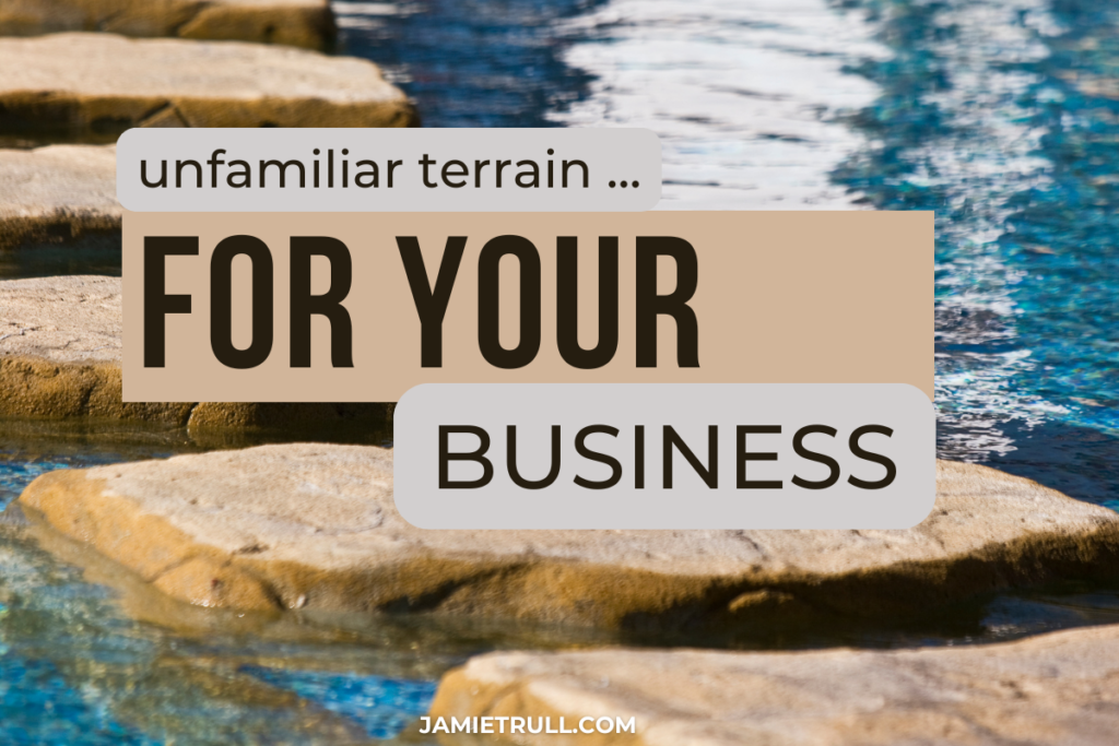 stepping stone path through water with text overlay: unfamiliar terrain ... for your business.